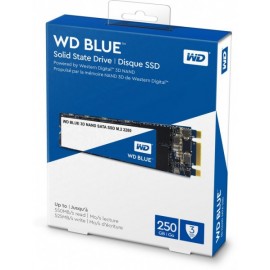 wd-ssd-250gb-blue-m2-sata3-wds250g2b0b