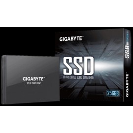 gb-ssd-256gb-ud-pro-series-25