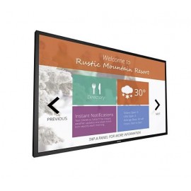 MONITOR 43